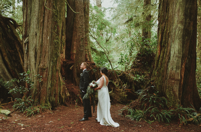 First look in a tree grove on Vancouver Island, British Columbia