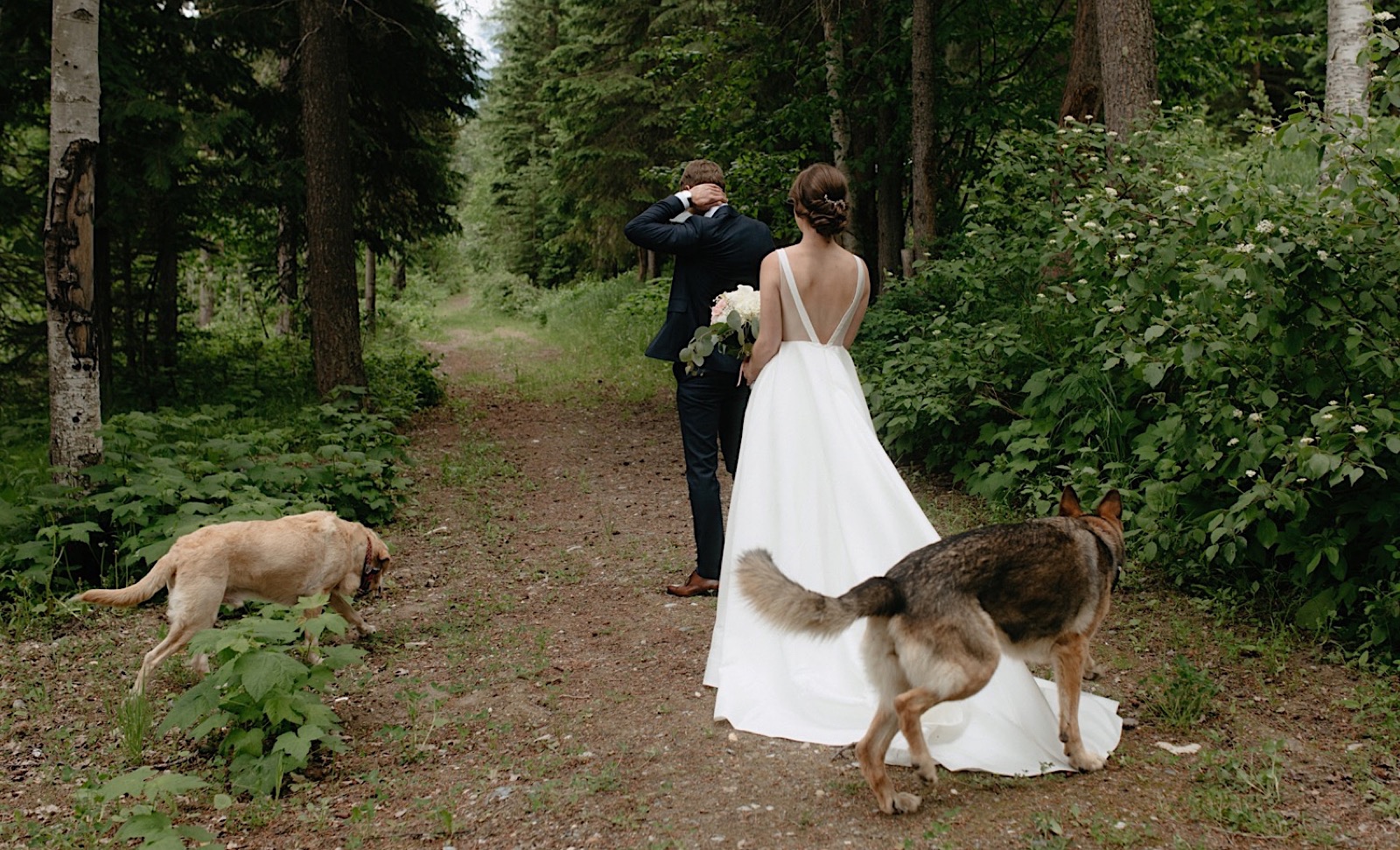 Wedding first look photobombed by labrador and german shepherd