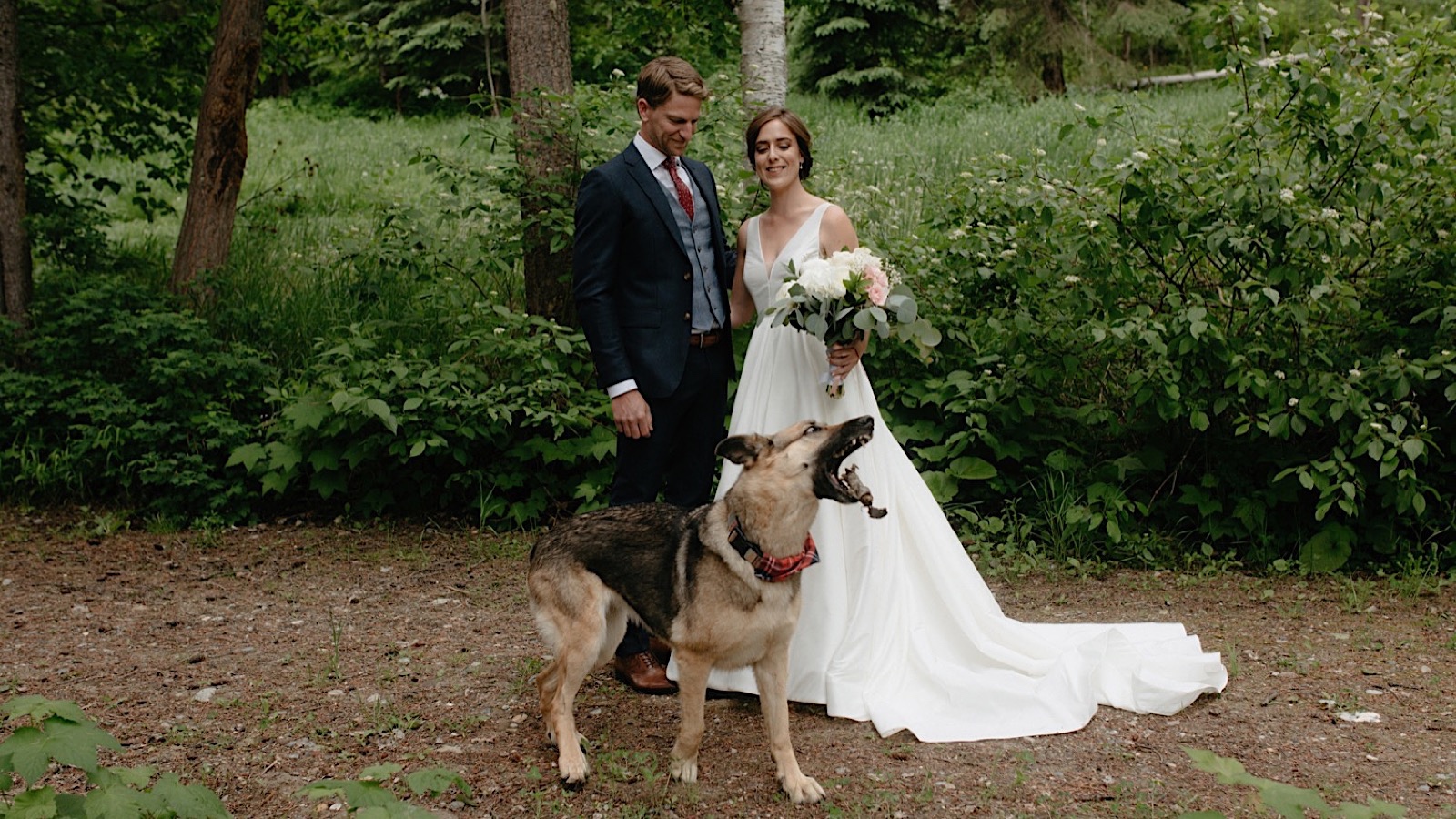 German shepherd catching a stick in front of his owners getting married