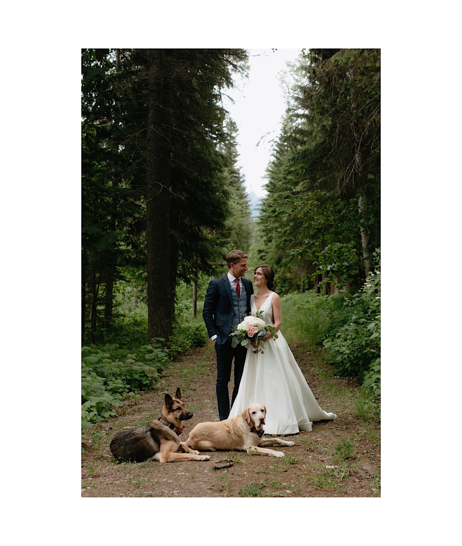 Dogs laying down politely for a formal bridal party photo