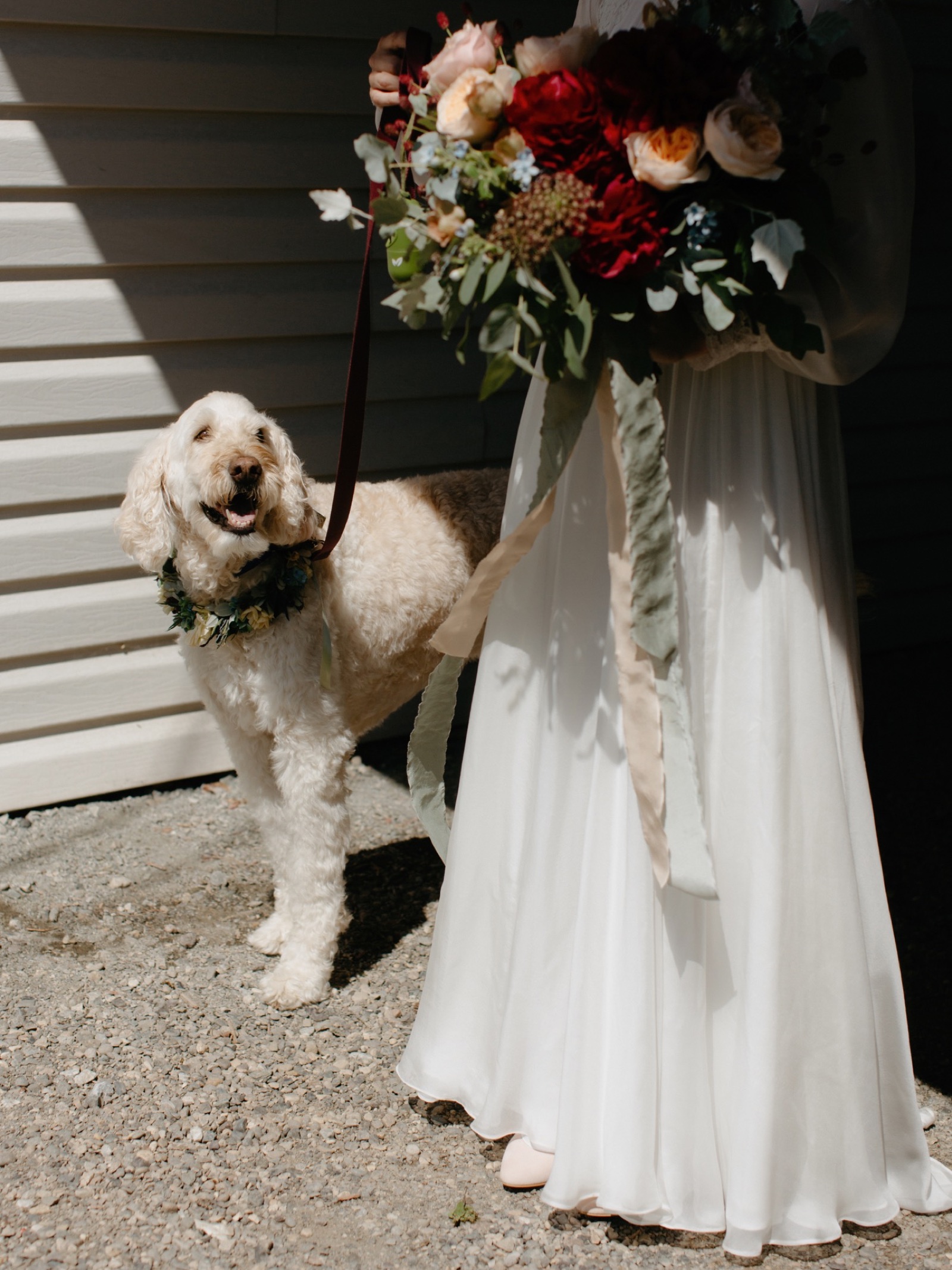 A bride and her dog wearing a floral collar