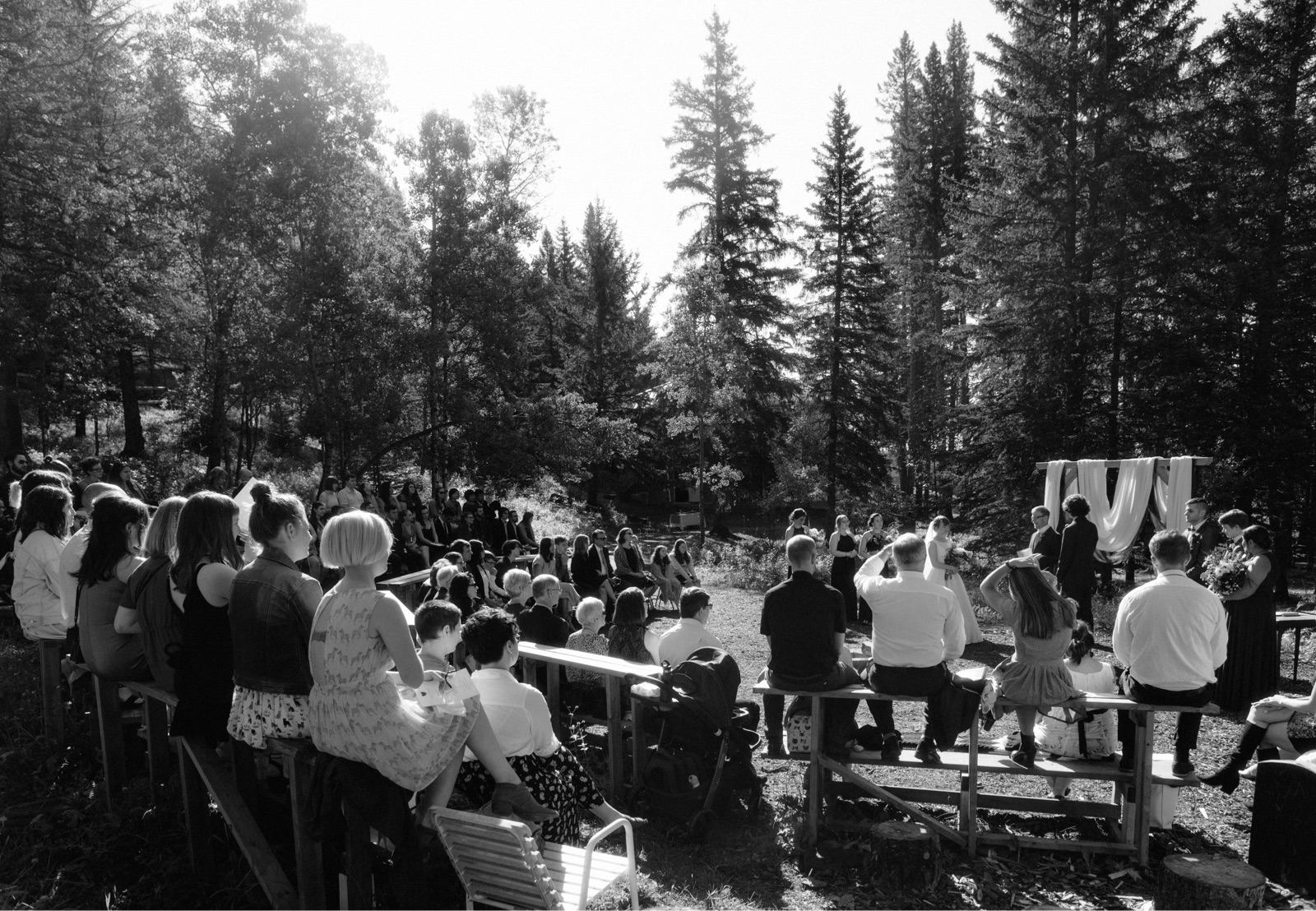 Alberta camp wedding in the Canadian Rockies foothills