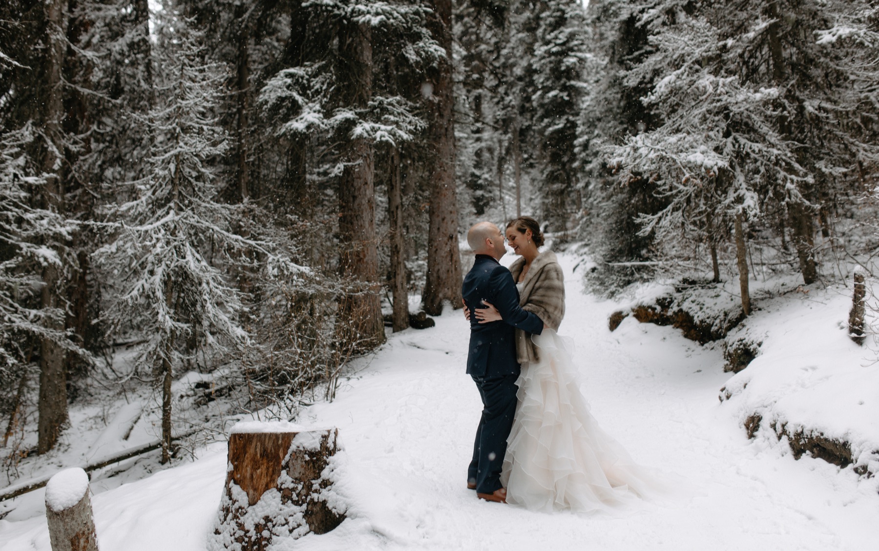 Forest winter wedding portraits in Banff National Park