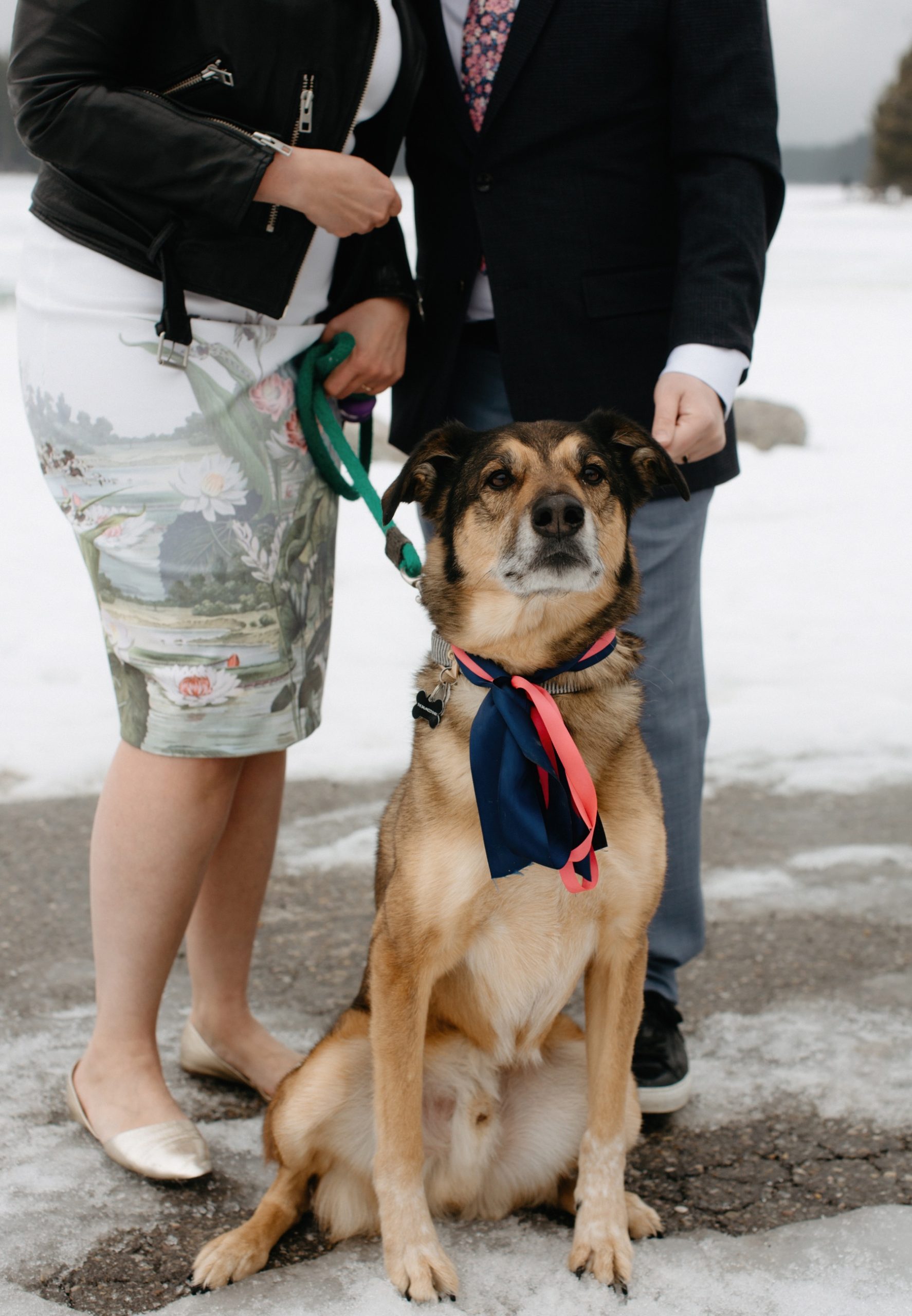 Wedding dog ribbon collar at Two Jack Lake