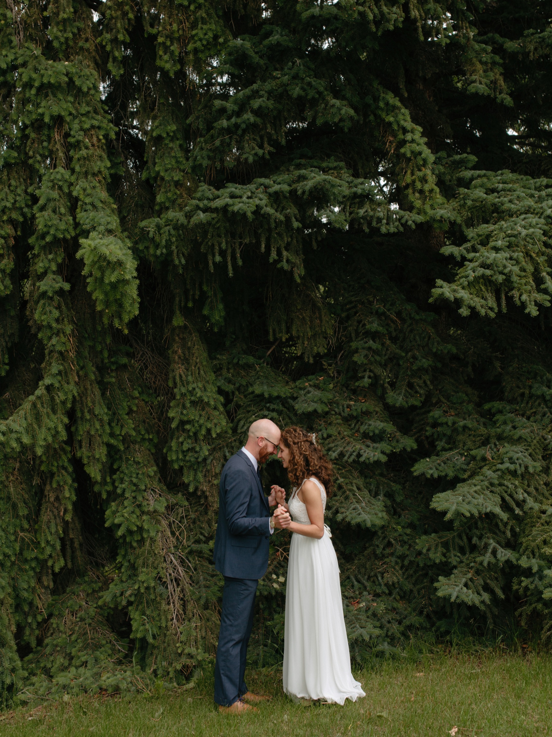 Couple holding hands and leaning towards each other beneath an evergreen in Confederation Park