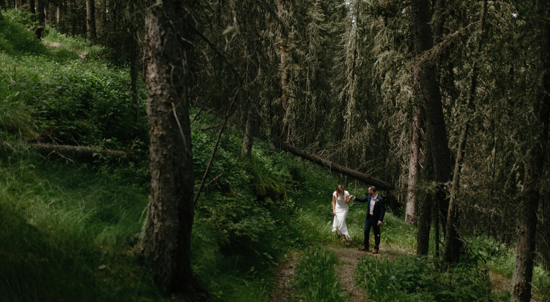Bride and groom walking hand in hand in the forest behind Azuridge Estate in Calgary