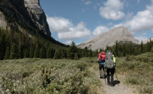 The meadow beyond Bryant Creek Warden cabin heading towards Assiniboine Pass