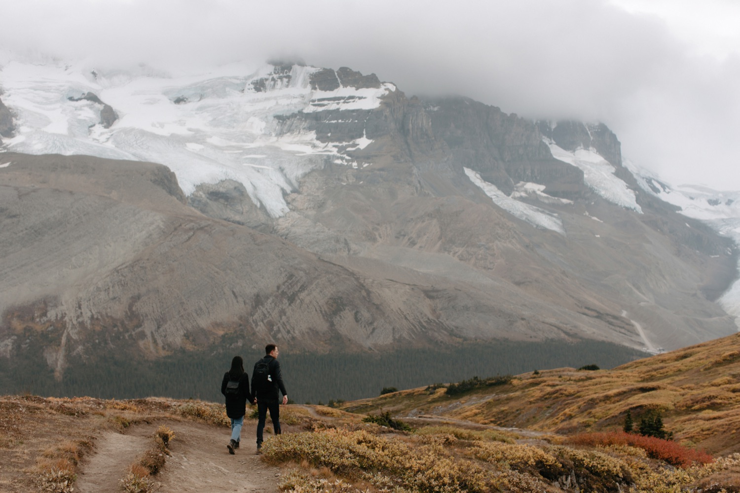 Hiking engagement session in Jasper with yellow fields, overlooking glaciers and mountains