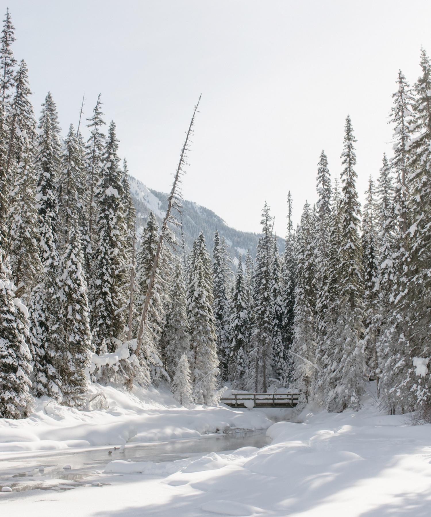 Bridge at Emerald Lake Lodge in winter