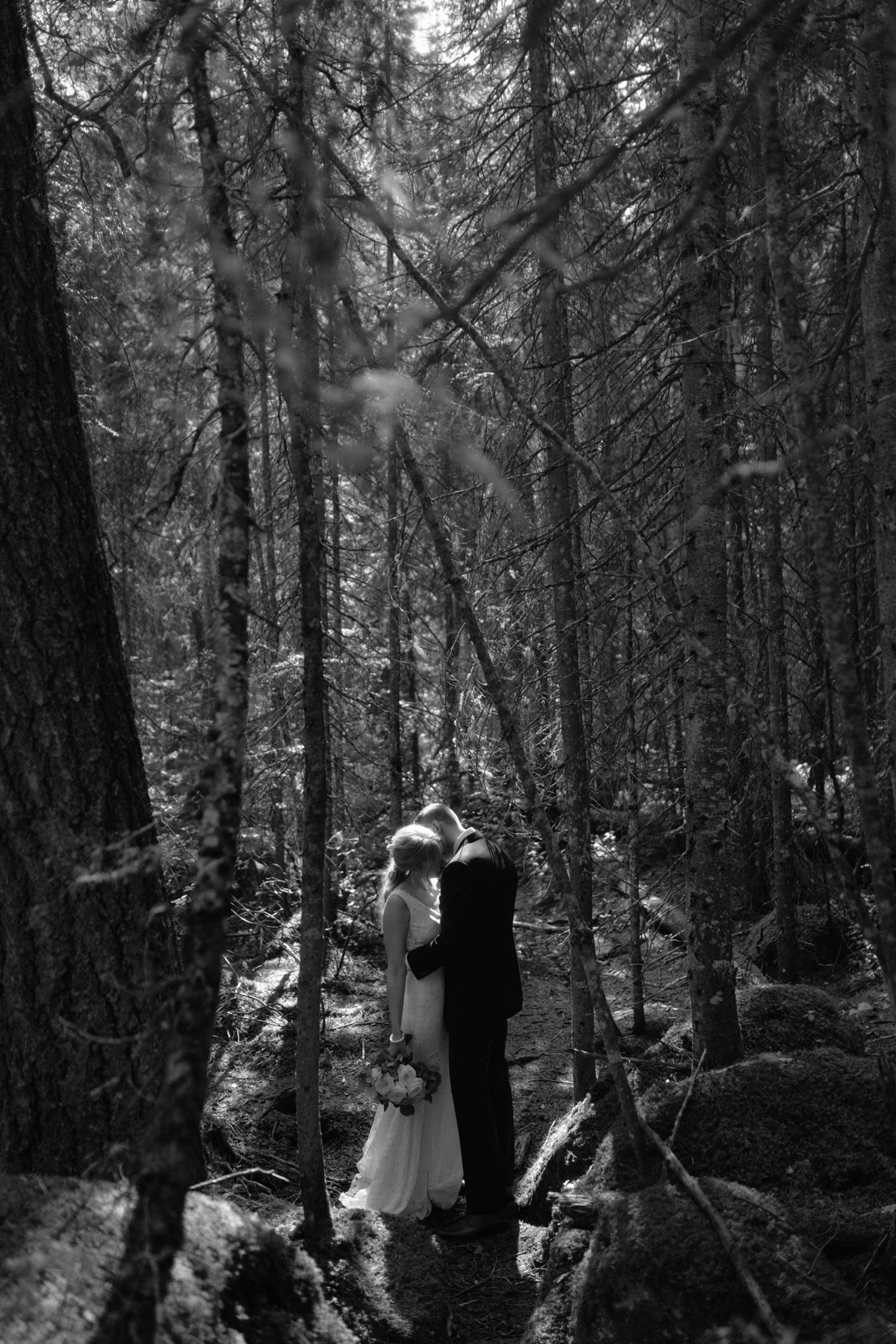Forest light elopement portrait photographer in Yoho National Park