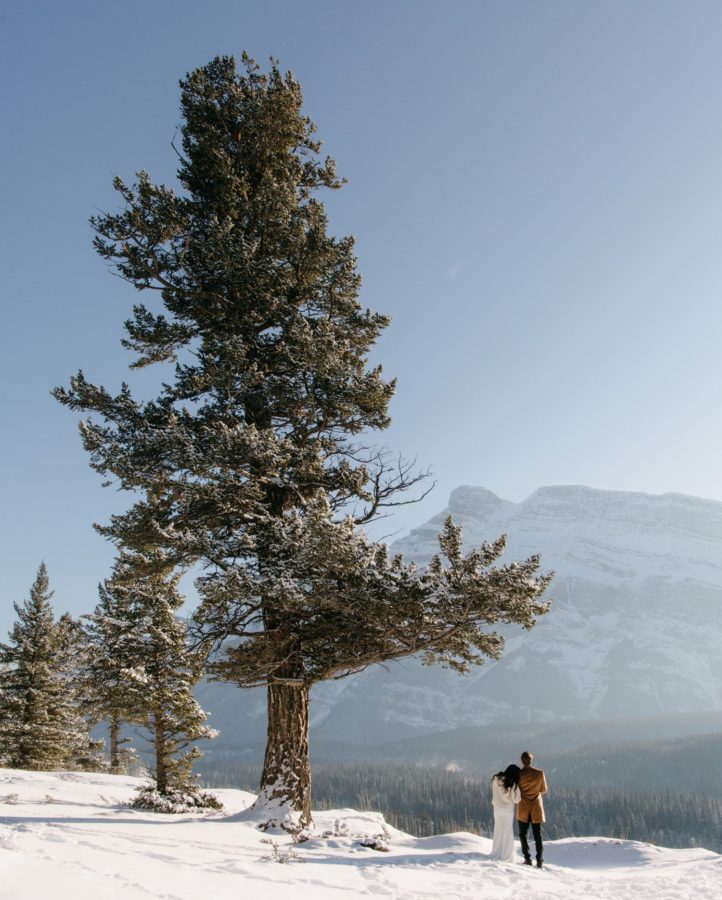 Newly eloped couple standing beneath Douglas Fir amongst oldest trees in Banff National Park overlooking Mount Rundle