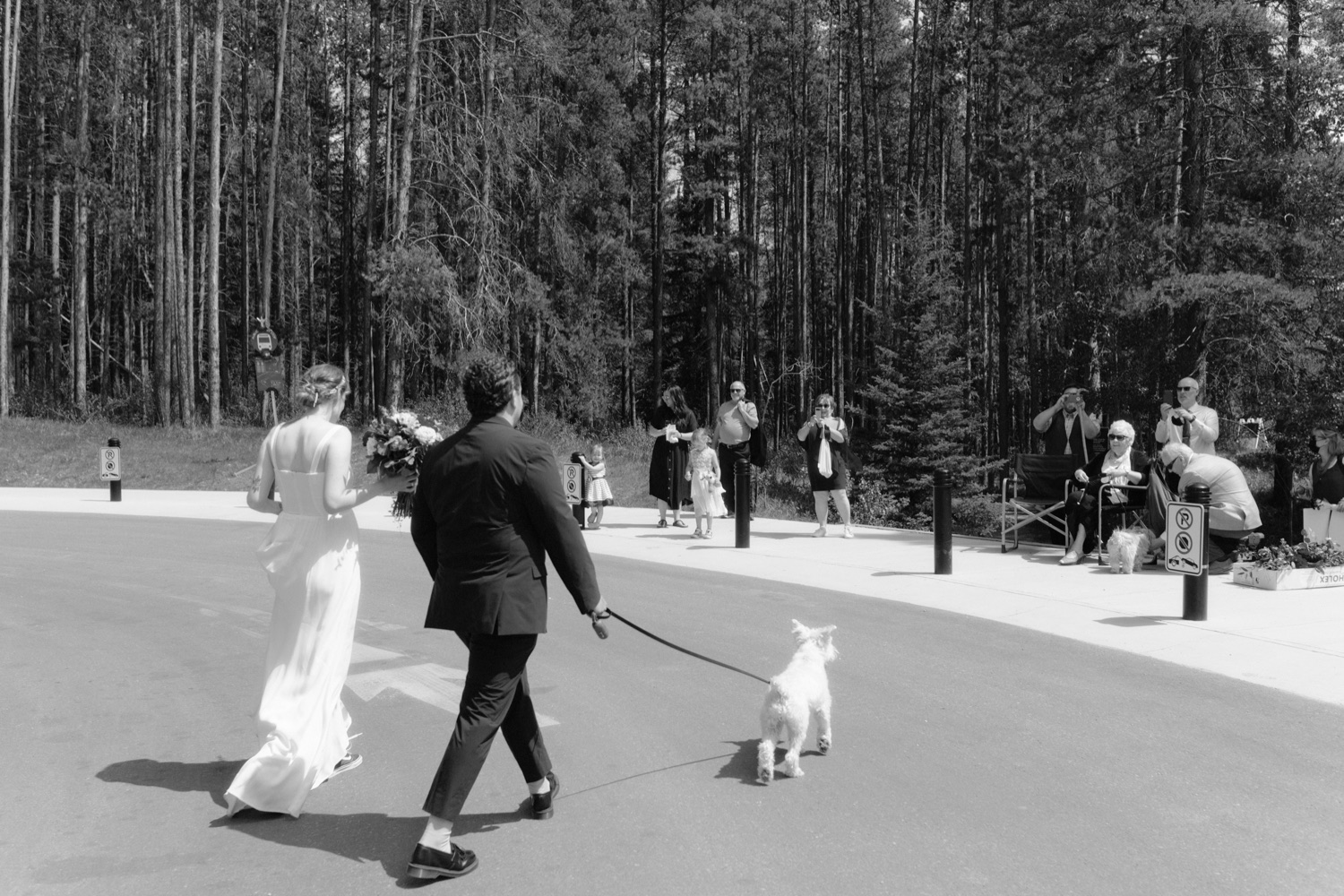 Couple wearing wedding clothes with their white dog on a leash walking towards their excited wedding guests