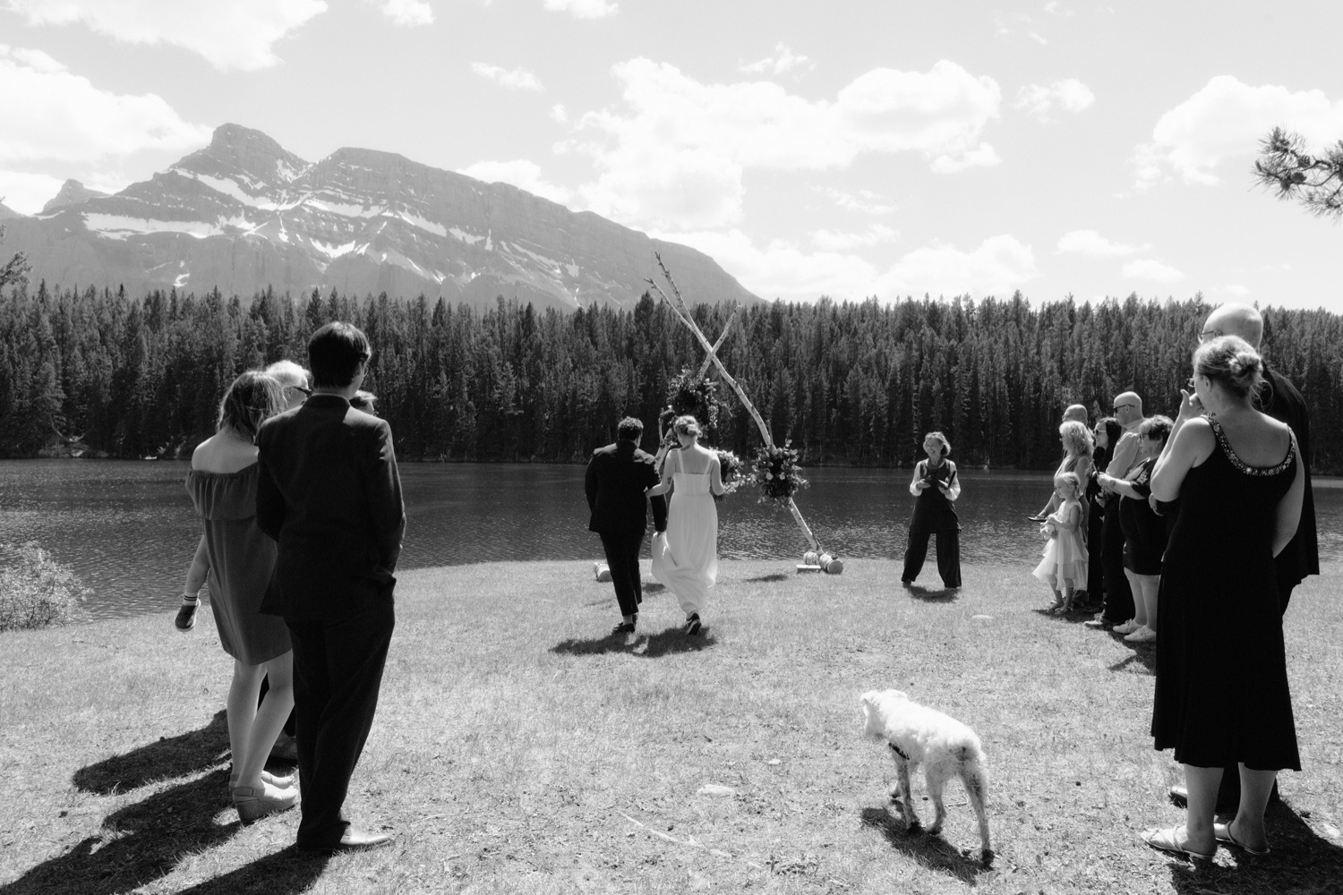 Couple do a processional with their dog together to a birch altar on a grassy knoll overlooking a green glacial lake and mountain