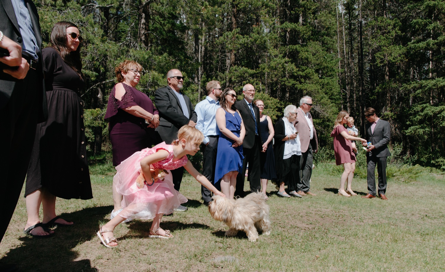 Flower girl petting her great uncle's dog during the ceremony on a summer day in Banff