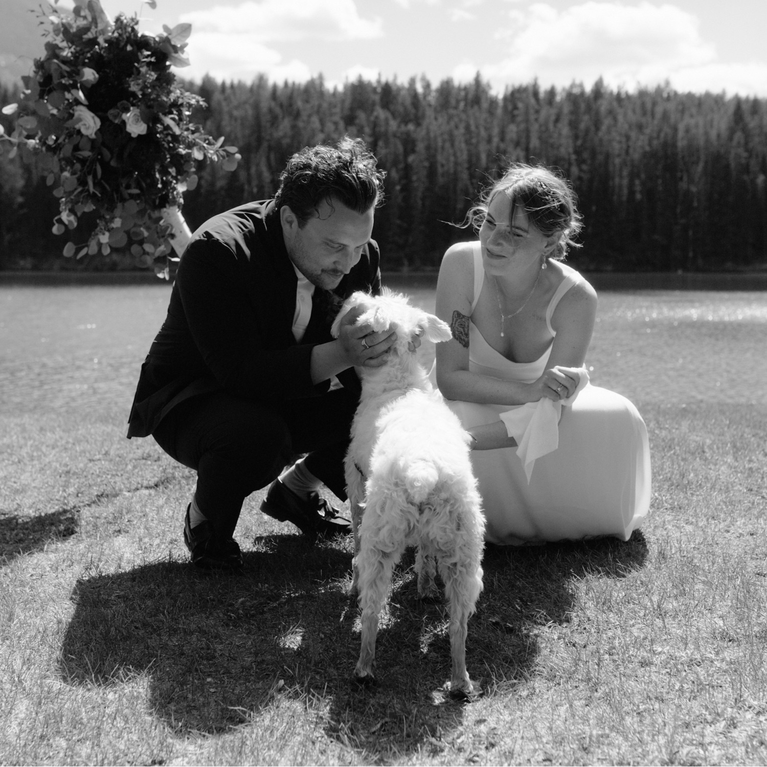 Wedding couple embracing their white miniature schnauzer at the end of their ceremony