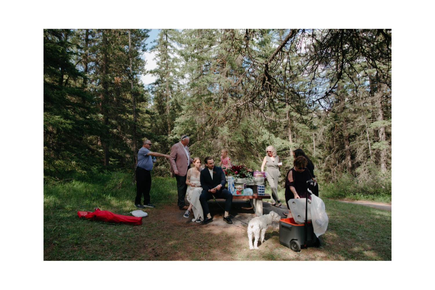 Picnic table wedding lunch on the shores of Johnson Lake in Banff National Park