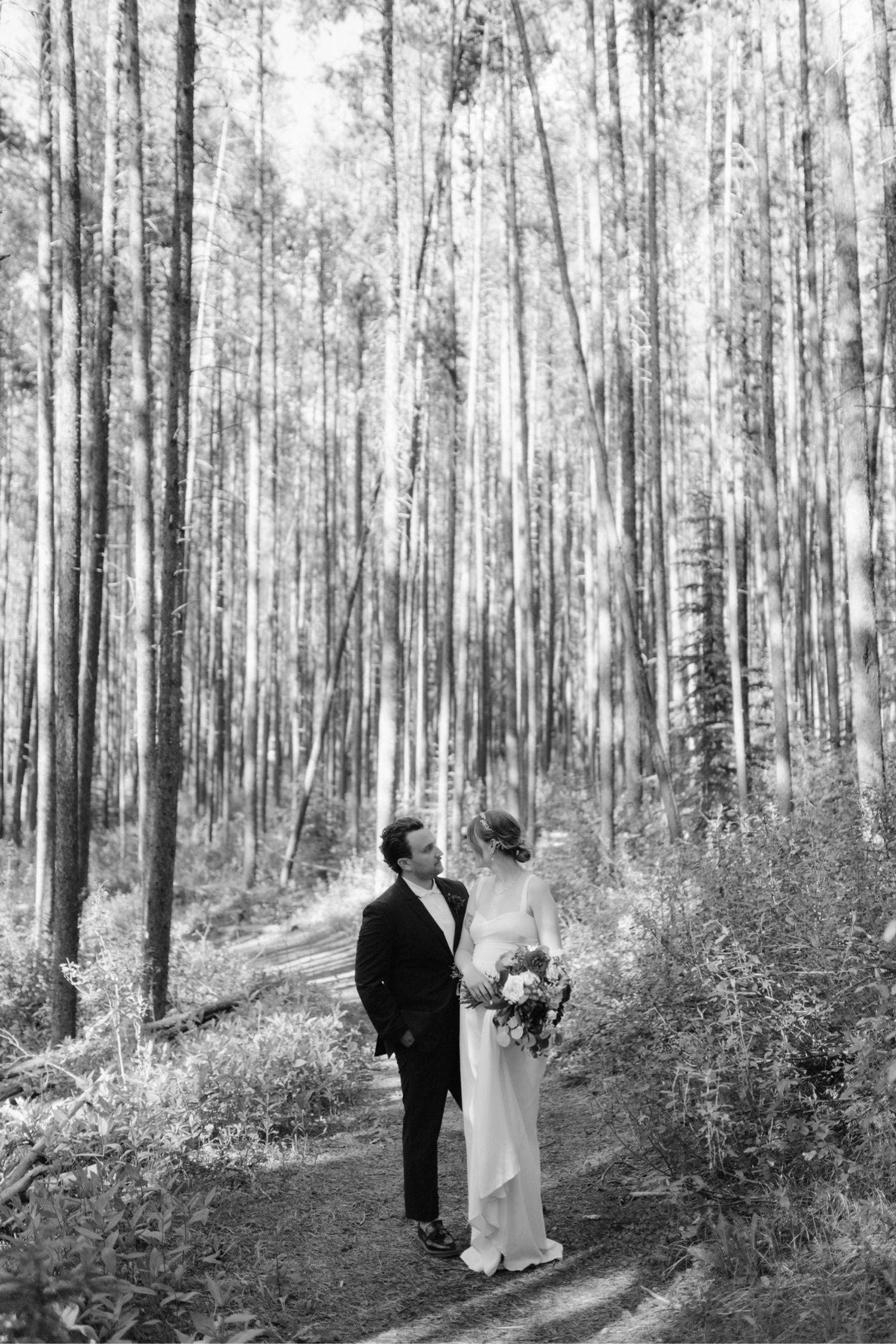 Lodgepole pine walkway with a stylish timeless bridal couple